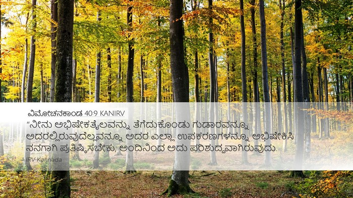 ವಿಮೋಚನಕಾಂಡ 40:9 KANIRV Bible Verse Image