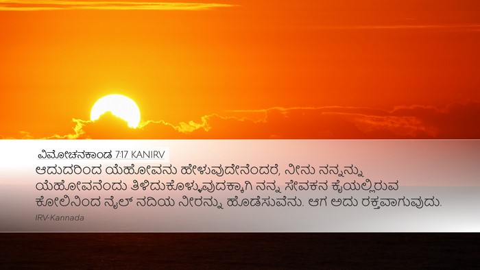 ವಿಮೋಚನಕಾಂಡ 7:17 KANIRV Bible Verse Image