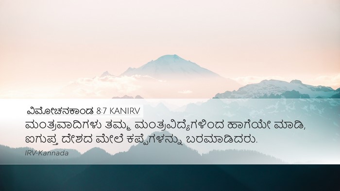 ವಿಮೋಚನಕಾಂಡ 8:7 KANIRV Bible Verse Image