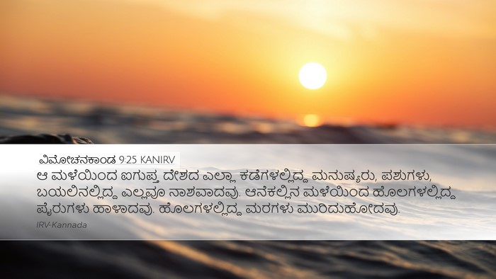 ವಿಮೋಚನಕಾಂಡ 9:25 KANIRV Bible Verse Image