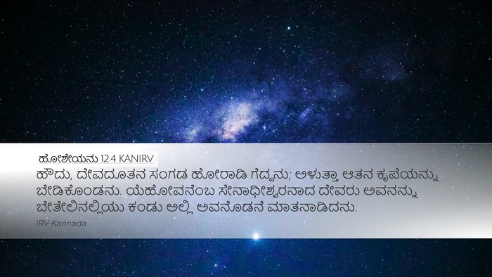 ಹೋಶೇಯನು 12:4 KANIRV Bible Verse Image