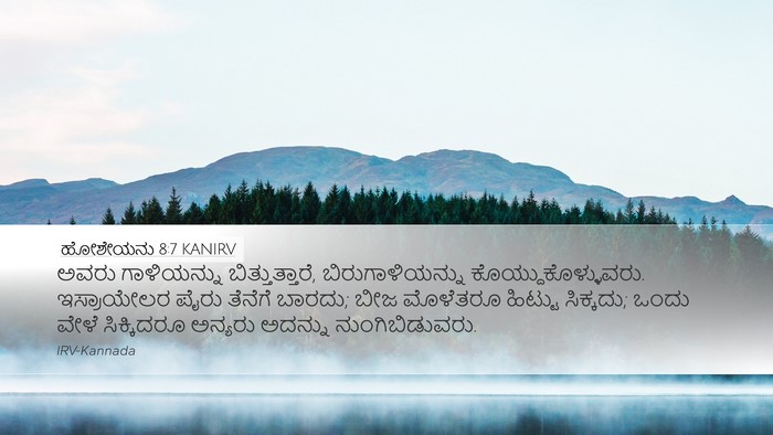 ಹೋಶೇಯನು 8:7 KANIRV Desktop Wallpaper - ಅವರು ಗಾಳಿಯನ್ನು - Desktop Bible Verse Wallpaper