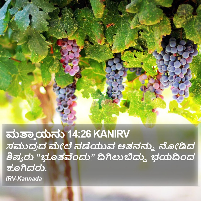 ಮತ್ತಾಯನು 14:26 KANIRV - ಸಮುದ್ರದ ಮೇಲೆ
