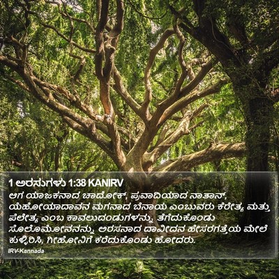 1 ಅರಸುಗಳು 1:38 KANIRV Bible Verse Image