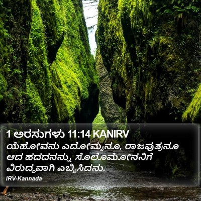 1 ಅರಸುಗಳು 11:14 KANIRV Bible Verse Image
