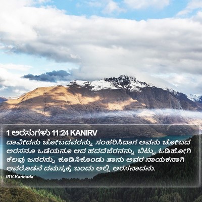 1 ಅರಸುಗಳು 11:24 KANIRV Bible Verse Image