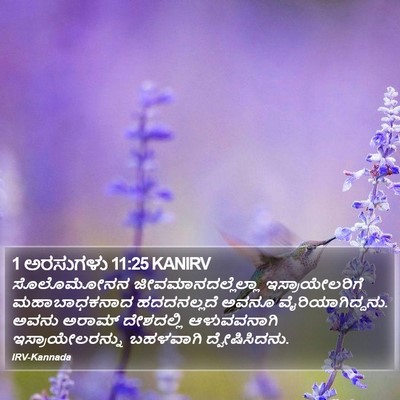 1 ಅರಸುಗಳು 11:25 KANIRV Bible Verse Image