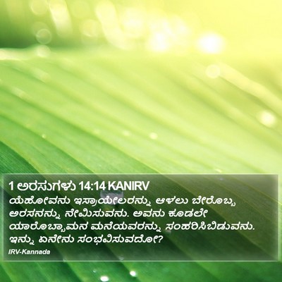 1 ಅರಸುಗಳು 14:14 KANIRV Bible Verse Image