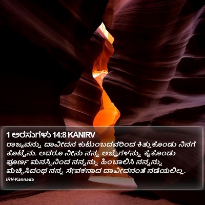 1 ಅರಸುಗಳು 14:8 KANIRV Bible Verse Image