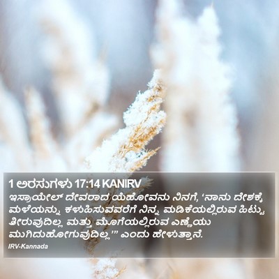 1 ಅರಸುಗಳು 17:14 KANIRV Bible Verse Image
