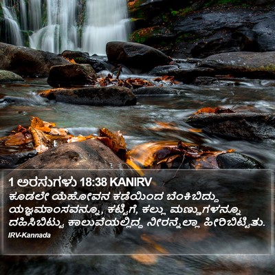 1 ಅರಸುಗಳು 18:38 KANIRV Bible Verse Image