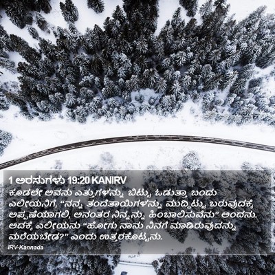 1 ಅರಸುಗಳು 19:20 KANIRV Bible Verse Image
