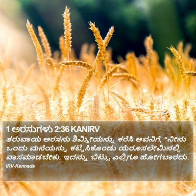 1 ಅರಸುಗಳು 2:36 KANIRV Bible Verse Image