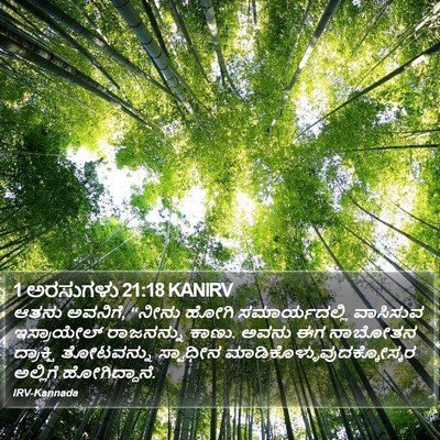 1 ಅರಸುಗಳು 21:18 KANIRV Bible Verse Image