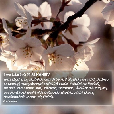 1 ಅರಸುಗಳು 22:34 KANIRV Bible Verse Image