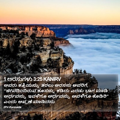 1 ಅರಸುಗಳು 3:25 KANIRV Bible Verse Image
