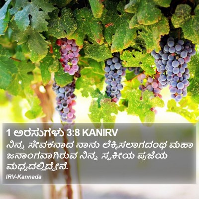 1 ಅರಸುಗಳು 3:8 KANIRV Bible Verse Image