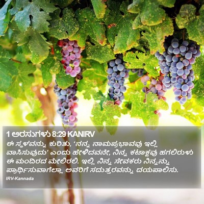 1 ಅರಸುಗಳು 8:29 KANIRV Bible Verse Image