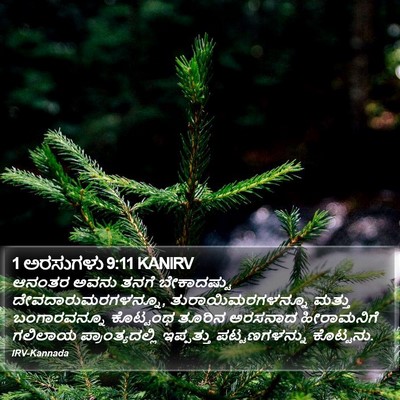 1 ಅರಸುಗಳು 9:11 KANIRV Bible Verse Image