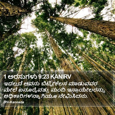 1 ಅರಸುಗಳು 9:23 KANIRV Bible Verse Image