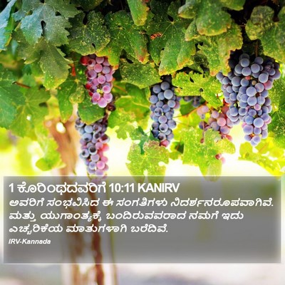 1 ಕೊರಿಂಥದವರಿಗೆ 10:11 KANIRV Bible Verse Image