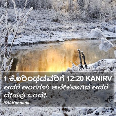 1 ಕೊರಿಂಥದವರಿಗೆ 12:20 KANIRV Bible Verse Image
