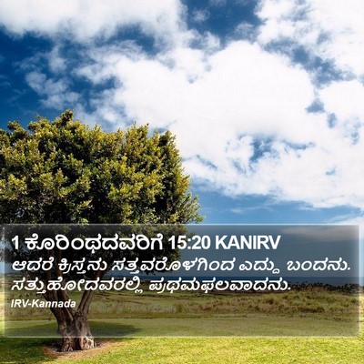 1 ಕೊರಿಂಥದವರಿಗೆ 15:20 KANIRV Bible Verse Image