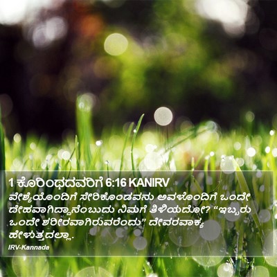 1 ಕೊರಿಂಥದವರಿಗೆ 6:16 KANIRV Bible Verse Image