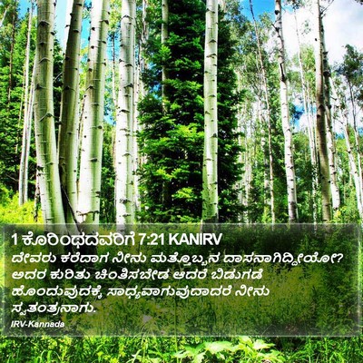 1 ಕೊರಿಂಥದವರಿಗೆ 7:21 KANIRV Bible Verse Image