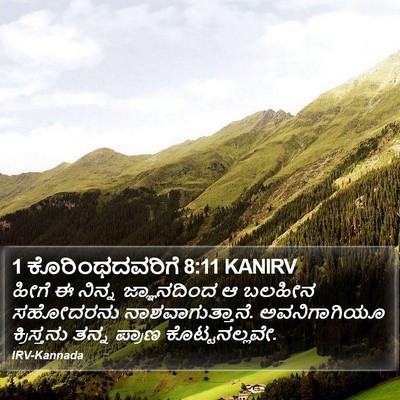1 ಕೊರಿಂಥದವರಿಗೆ 8:11 KANIRV Bible Verse Image