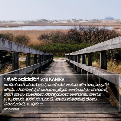 1 ಕೊರಿಂಥದವರಿಗೆ 9:10 KANIRV Bible Verse Image