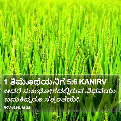 1 ತಿಮೊಥೆಯನಿಗೆ 5:6 KANIRV Bible Verse Image