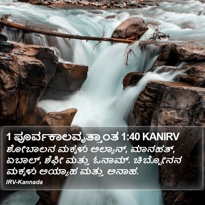 1 ಪೂರ್ವಕಾಲವೃತ್ತಾಂತ 1:40 KANIRV Bible Verse Image