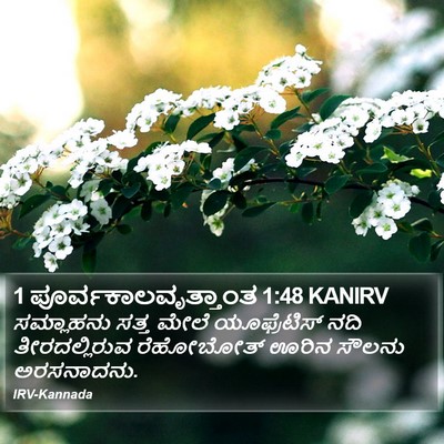 1 ಪೂರ್ವಕಾಲವೃತ್ತಾಂತ 1:48 KANIRV Bible Verse Image