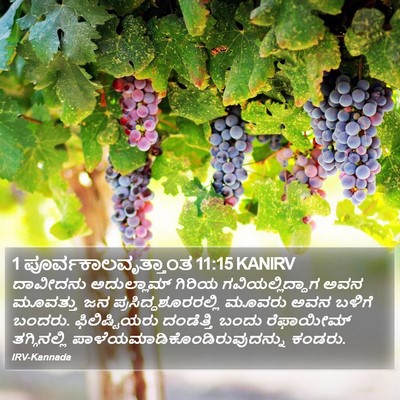 1 ಪೂರ್ವಕಾಲವೃತ್ತಾಂತ 11:15 KANIRV Bible Verse Image