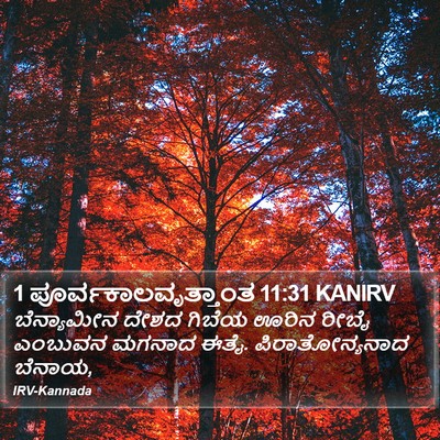 1 ಪೂರ್ವಕಾಲವೃತ್ತಾಂತ 11:31 KANIRV Bible Verse Image