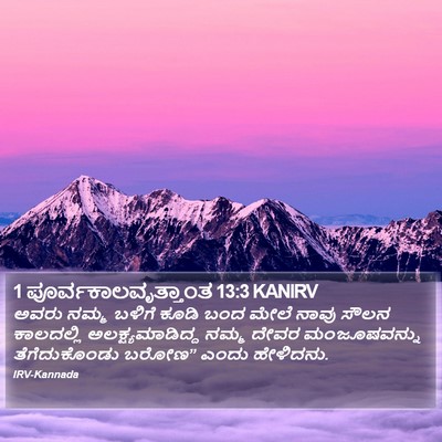 1 ಪೂರ್ವಕಾಲವೃತ್ತಾಂತ 13:3 KANIRV Bible Verse Image