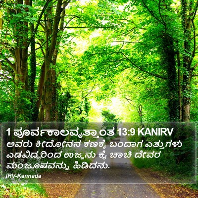 1 ಪೂರ್ವಕಾಲವೃತ್ತಾಂತ 13:9 KANIRV Bible Verse Image
