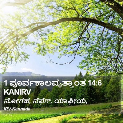 1 ಪೂರ್ವಕಾಲವೃತ್ತಾಂತ 14:6 KANIRV Bible Verse Image