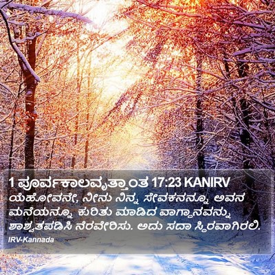1 ಪೂರ್ವಕಾಲವೃತ್ತಾಂತ 17:23 KANIRV Bible Verse Image