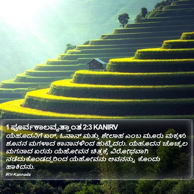 1 ಪೂರ್ವಕಾಲವೃತ್ತಾಂತ 2:3 KANIRV Bible Verse Image