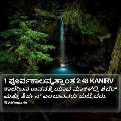 1 ಪೂರ್ವಕಾಲವೃತ್ತಾಂತ 2:48 KANIRV Bible Verse Image
