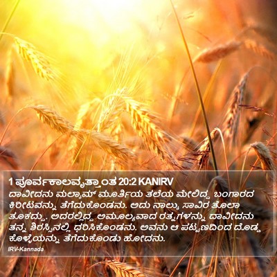 1 ಪೂರ್ವಕಾಲವೃತ್ತಾಂತ 20:2 KANIRV Bible Verse Image