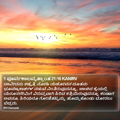 1 ಪೂರ್ವಕಾಲವೃತ್ತಾಂತ 21:16 KANIRV Bible Verse Image