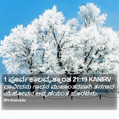 1 ಪೂರ್ವಕಾಲವೃತ್ತಾಂತ 21:19 KANIRV Bible Verse Image