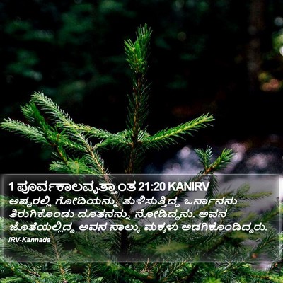 1 ಪೂರ್ವಕಾಲವೃತ್ತಾಂತ 21:20 KANIRV Bible Verse Image