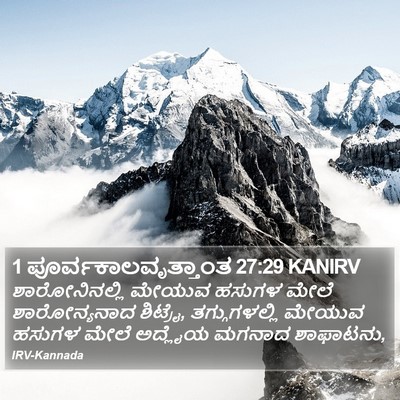 1 ಪೂರ್ವಕಾಲವೃತ್ತಾಂತ 27:29 KANIRV Bible Verse Image