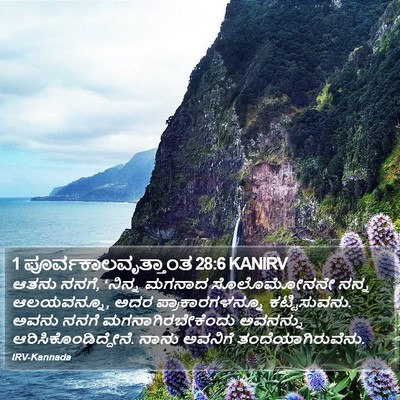 1 ಪೂರ್ವಕಾಲವೃತ್ತಾಂತ 28:6 KANIRV Bible Verse Image