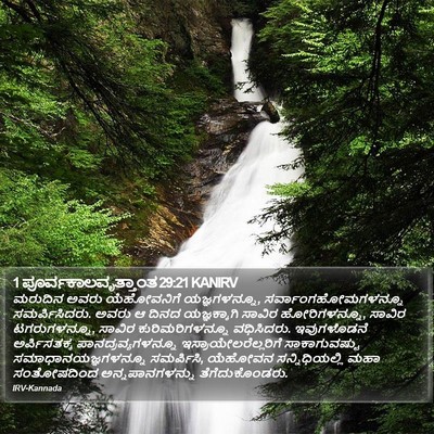 1 ಪೂರ್ವಕಾಲವೃತ್ತಾಂತ 29:21 KANIRV Bible Verse Image