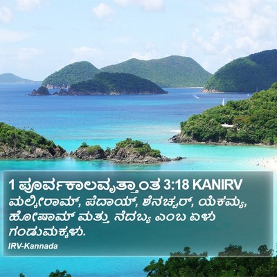 1 ಪೂರ್ವಕಾಲವೃತ್ತಾಂತ 3:18 KANIRV Bible Verse Image
